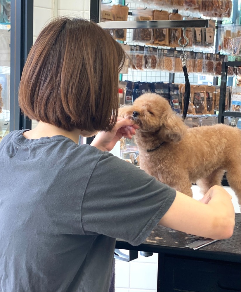 Yajima（トリマー）