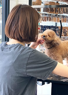 Yajima（トリマー）