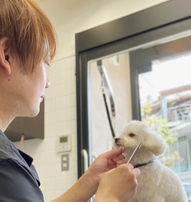 Tomita（トリマー）