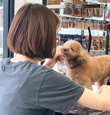 Yajima（トリマー）